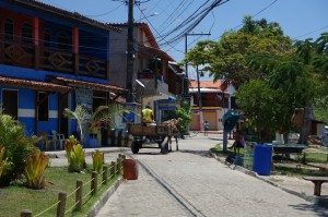 DSC09871